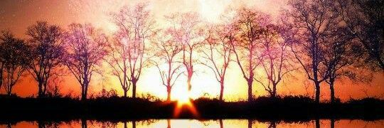Seb_Dinas's profile banner image