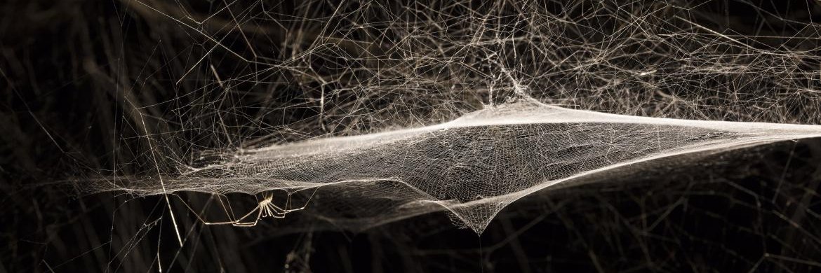 Gabriel E Sanoja banner