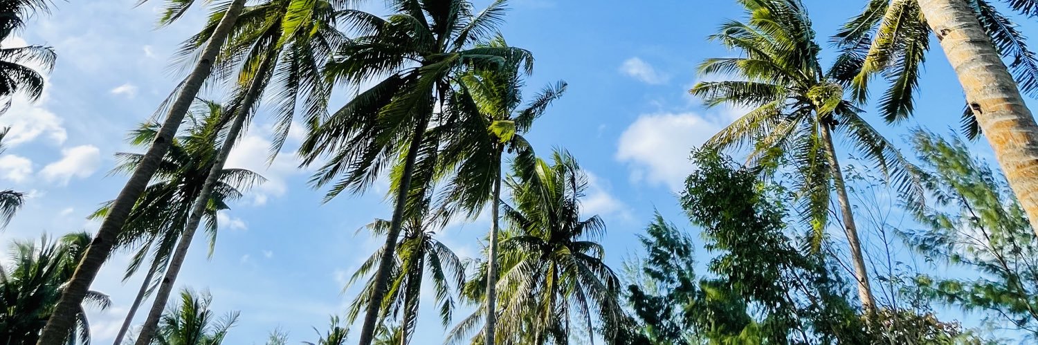 entengbuting's profile banner image