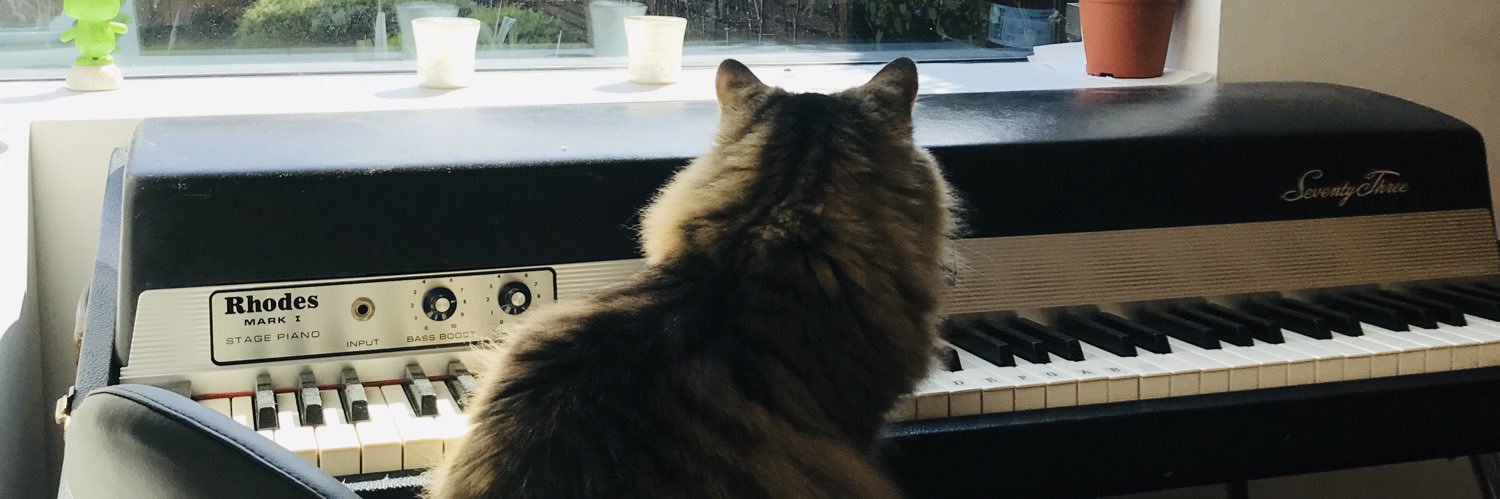 Hannah Robinson banner