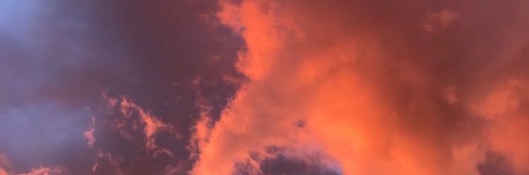 xomilk's profile banner image