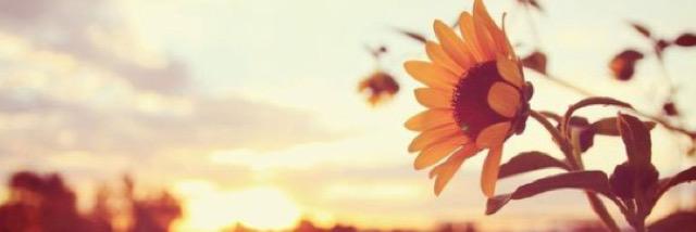 SGMLover's profile banner image