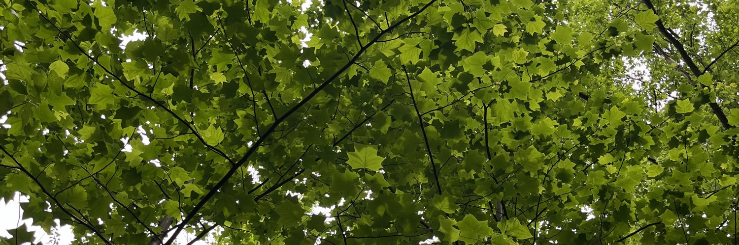 justjamera's profile banner image