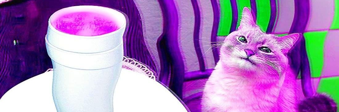 Pwn11t's profile banner image