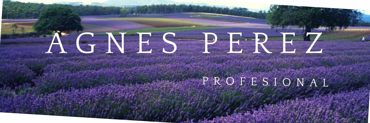 senga79's profile banner image