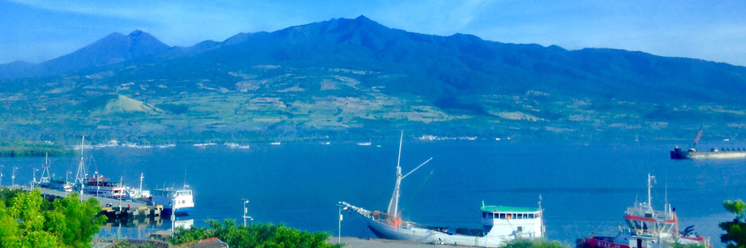 leonidiani's profile banner image