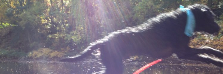 holmesy40's profile banner image