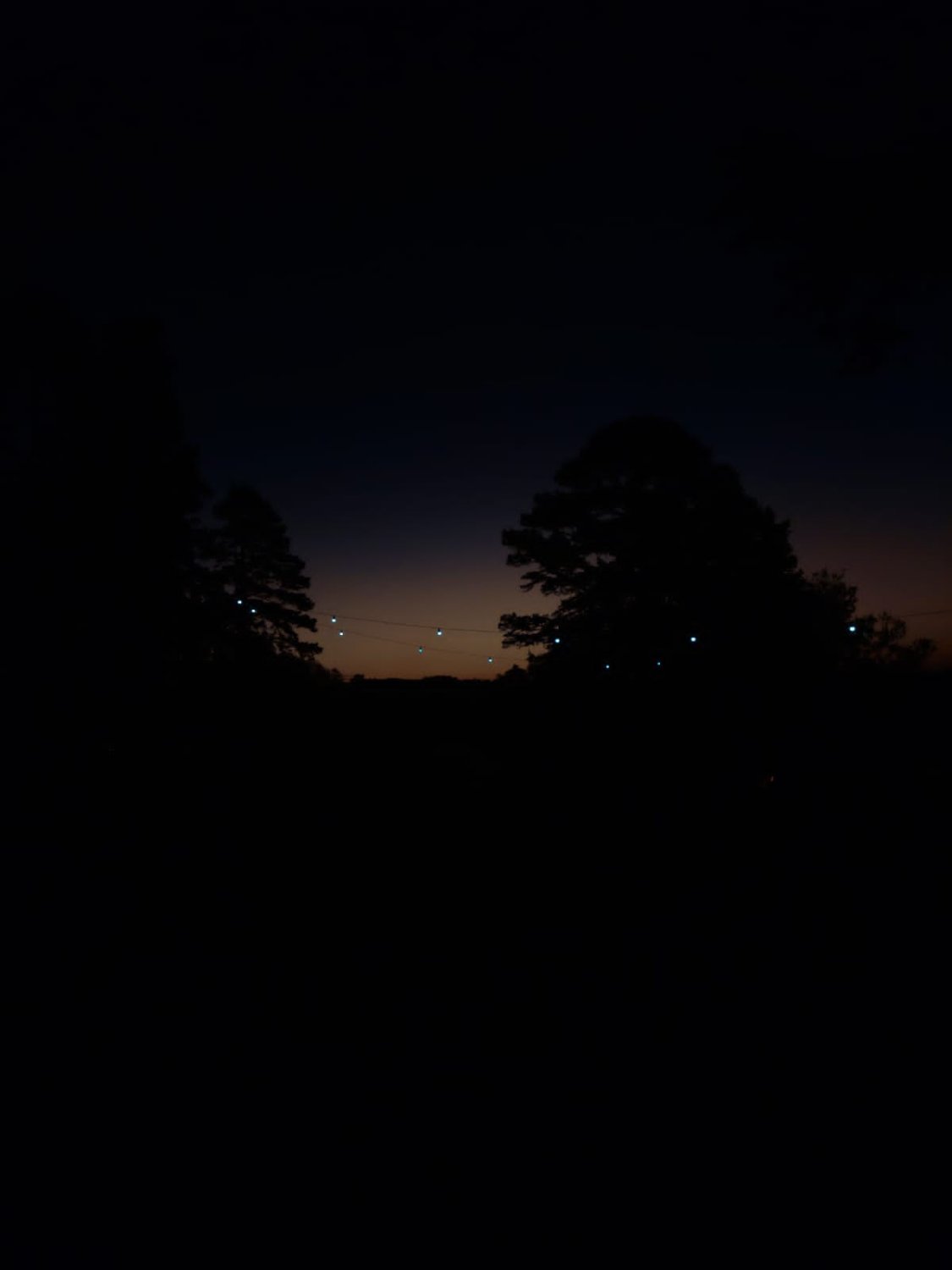 AndrineXavier's profile banner image