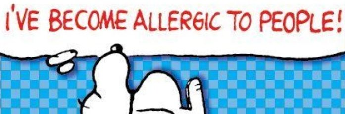 LASKINJA banner