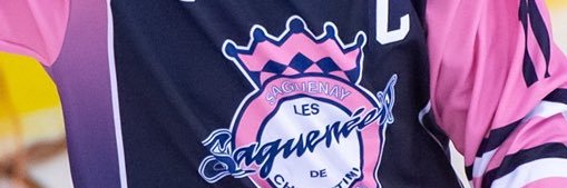 Rafaël Harvey-Pinard banner