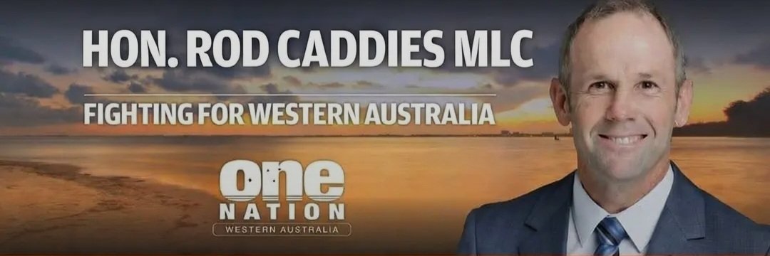 caddiesRod's profile banner image