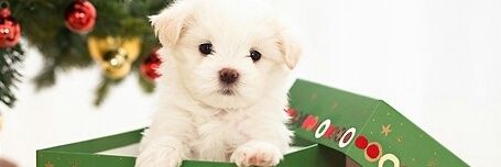 HeroOfCentral's profile banner image