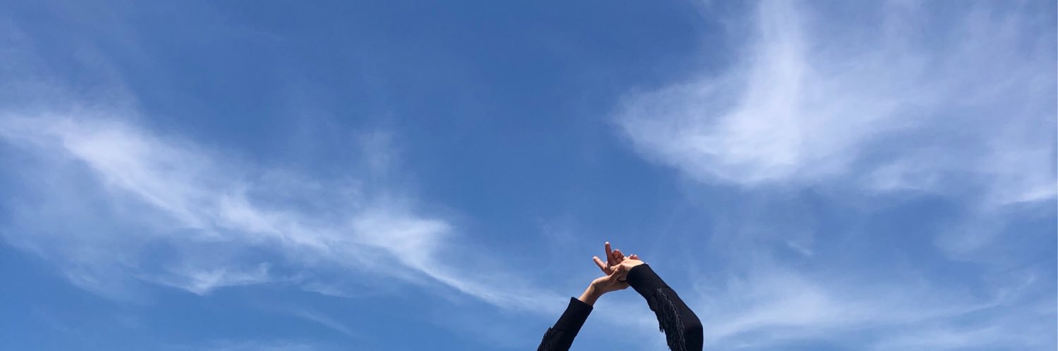 shikingomez's profile banner image