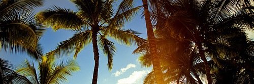 Matouffe_'s profile banner image