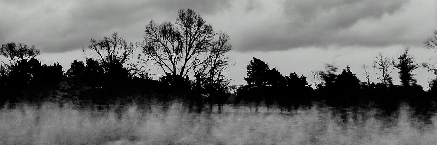 chgochris's profile banner image