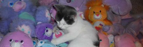 TeaFranco Profile Banner
