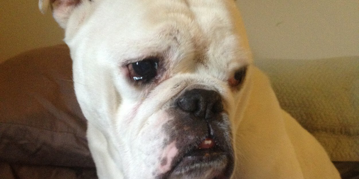 Erik Anderson banner