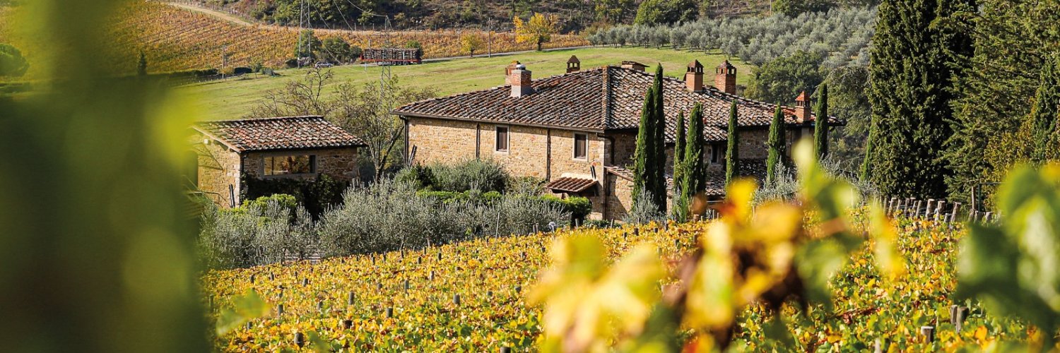 CapannelleWine's profile banner image