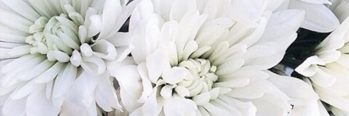 ms__msebonym's profile banner image