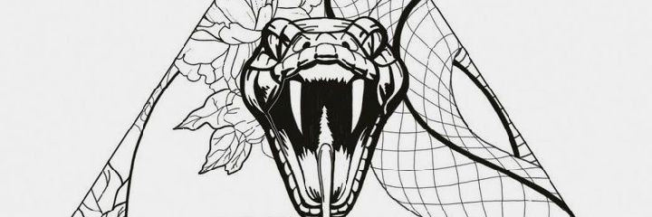 FiorellaNadale's profile banner image