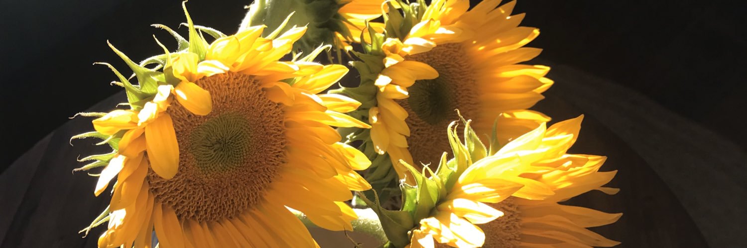 bethannwheat's profile banner image
