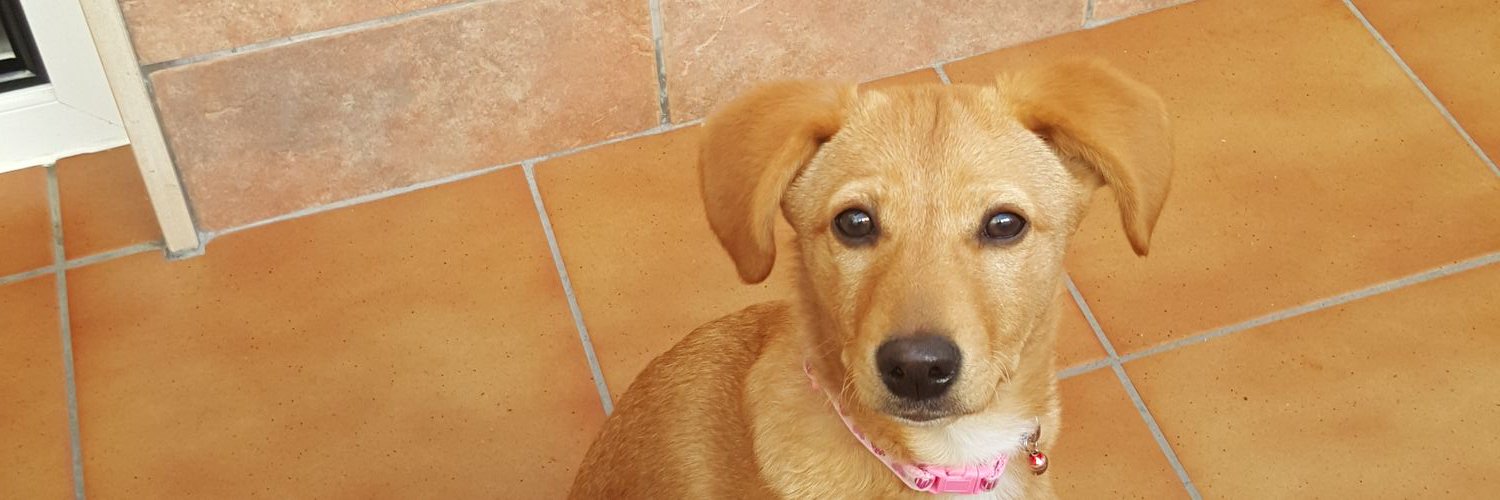 lauramp251's profile banner image