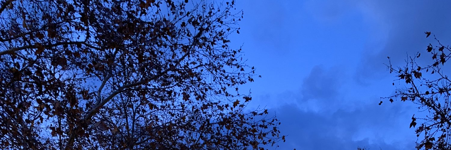 𝔭𝔞𝔳𝔩𝔬😵‍💫 banner