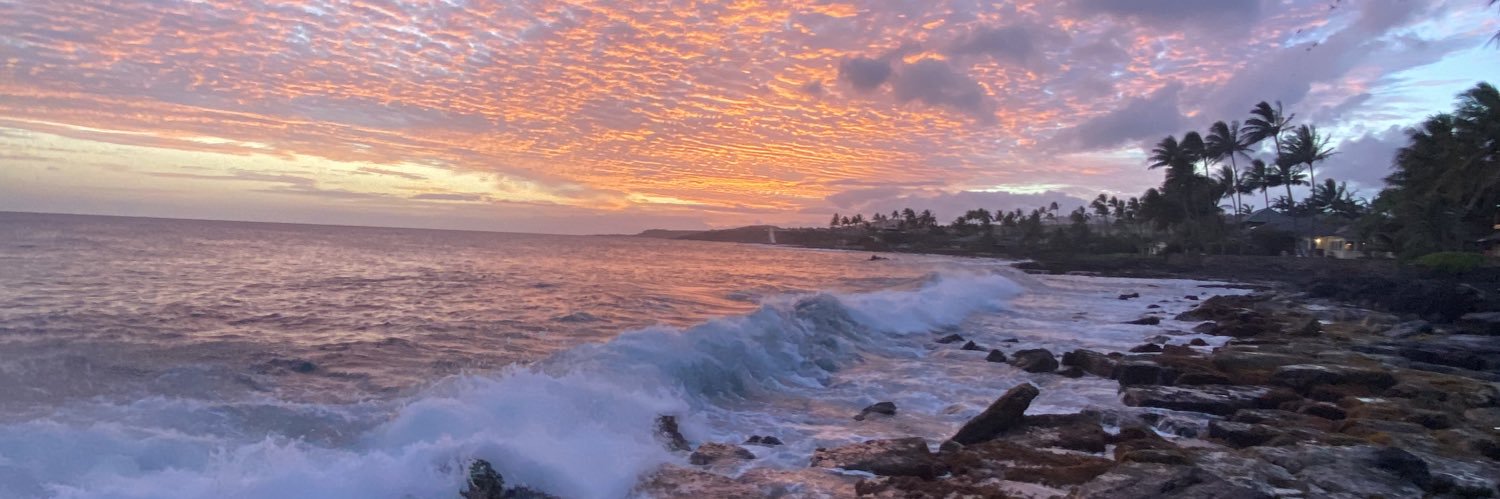 jackefox's profile banner image