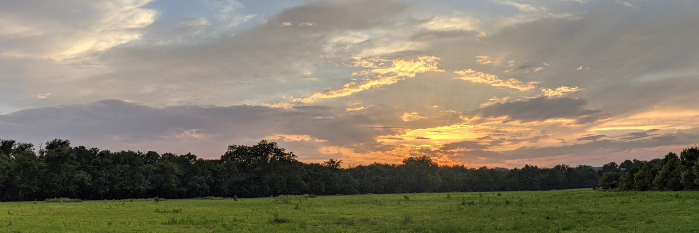 Rachel Lee, PhD banner