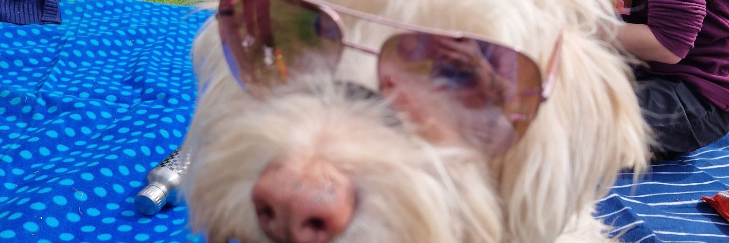 PraiseTheDan's profile banner image