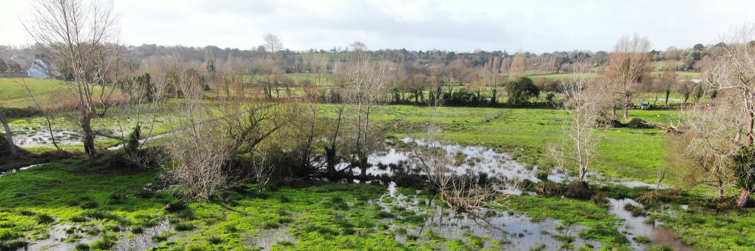 Piers Sangan 🦇🇯🇪 banner