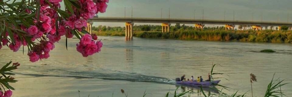 ali  hassan banner