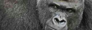 bissione's profile banner image