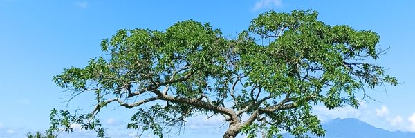 indrayust Profile Banner