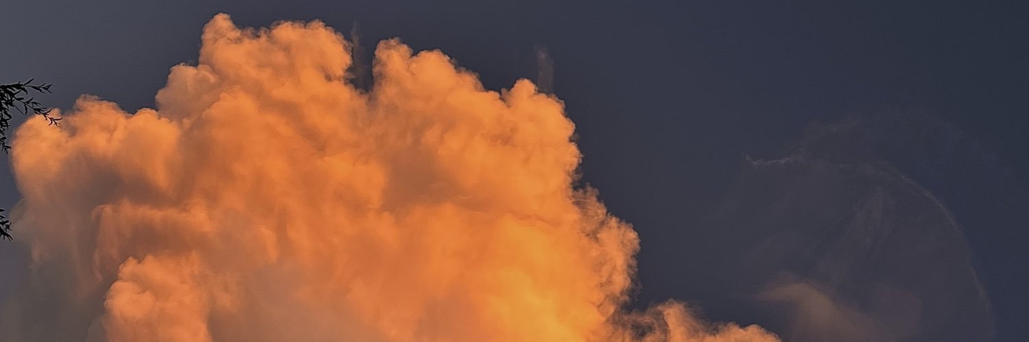alisonngoh's profile banner image