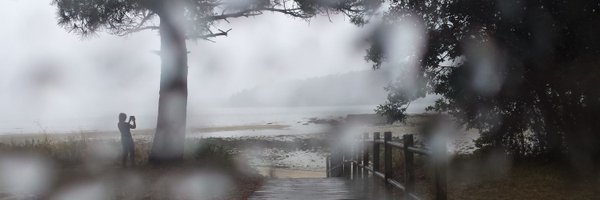 SaraRC83 Profile Banner