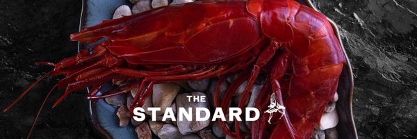 ESReveller Profile Banner