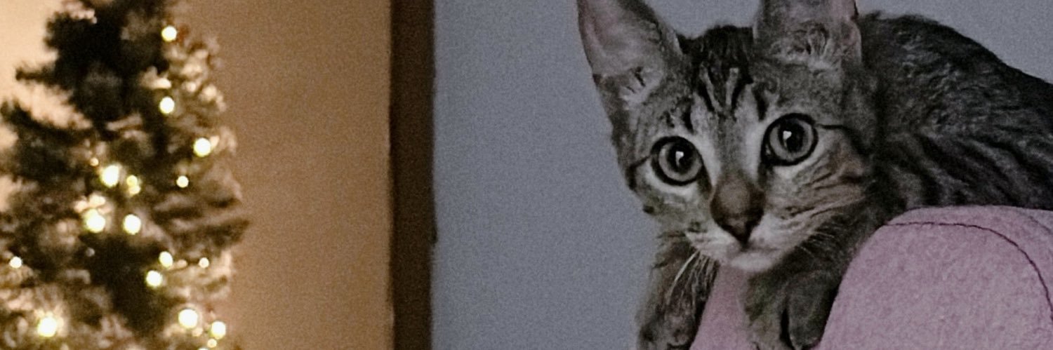 dafisaboss's profile banner image