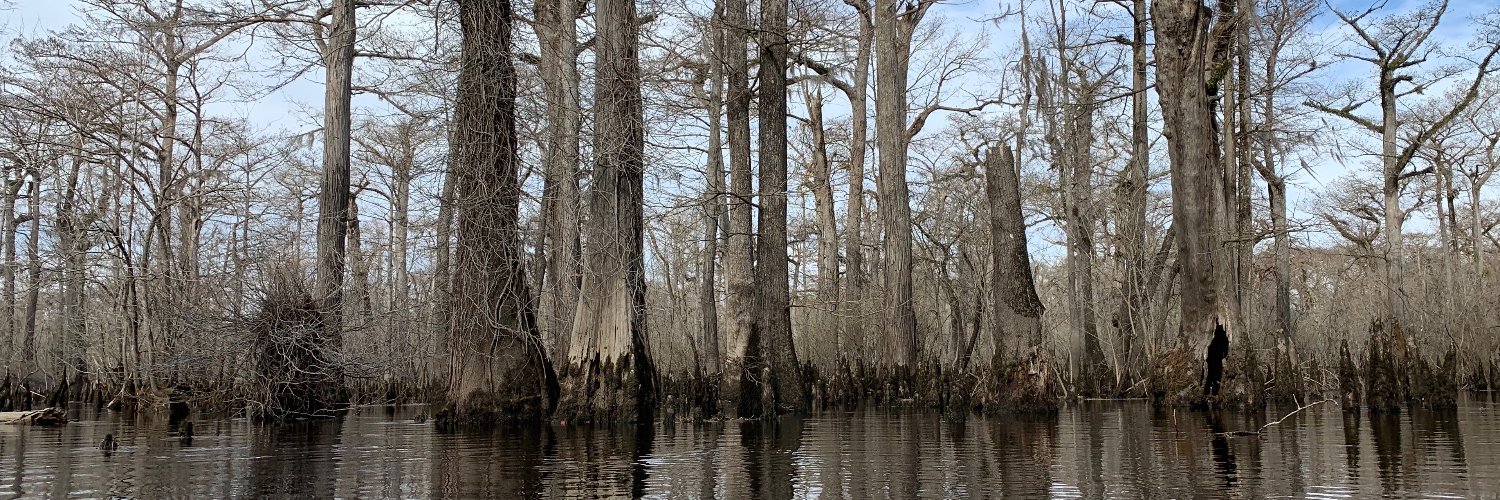 Matthew Booker banner