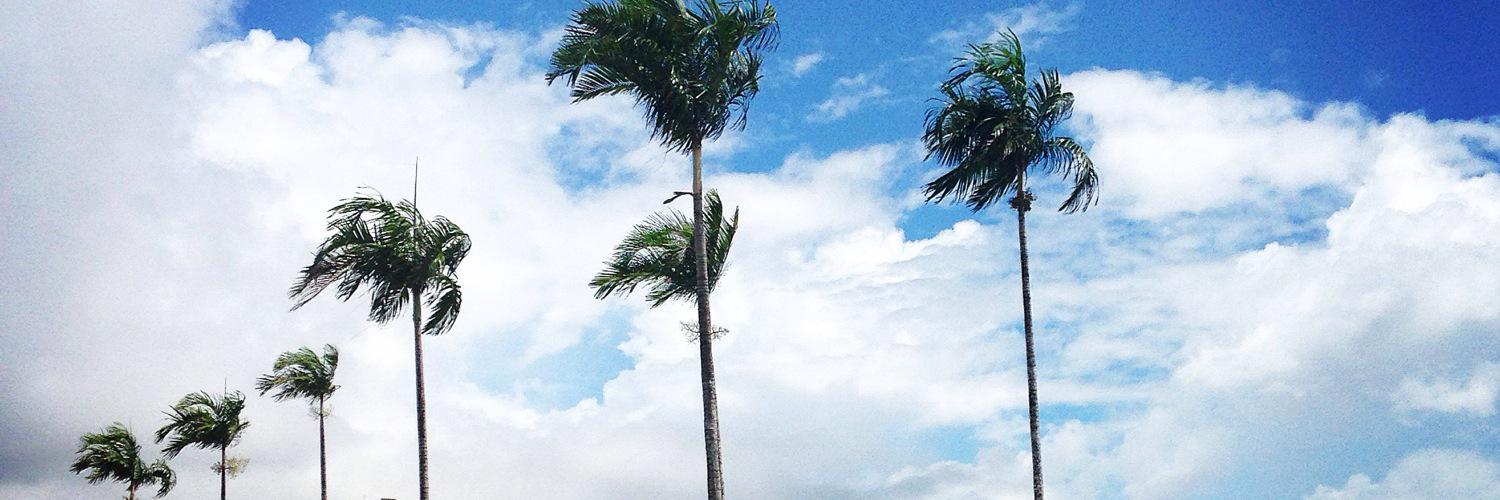 kelsgotell's profile banner image