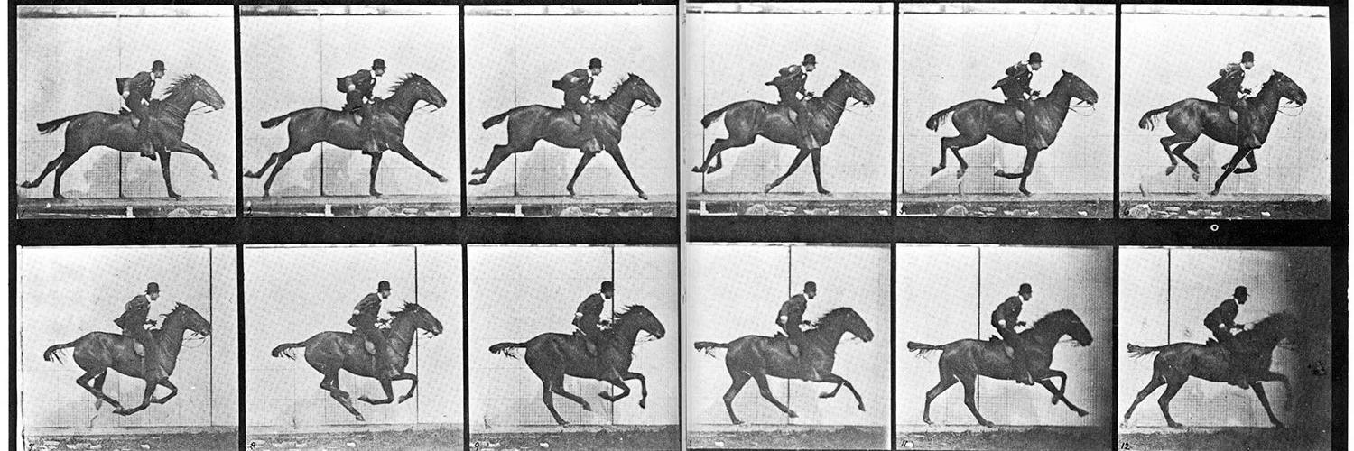 editorsguildsa banner