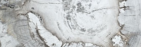CarolLNeilson's profile banner image