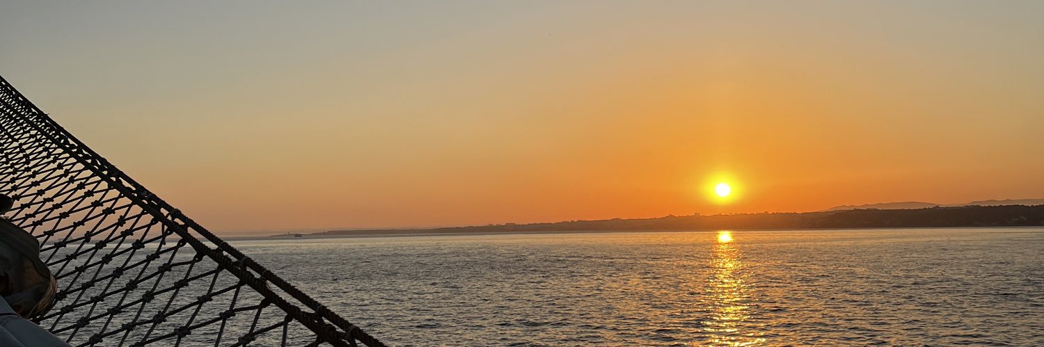 eliseqvt's profile banner image