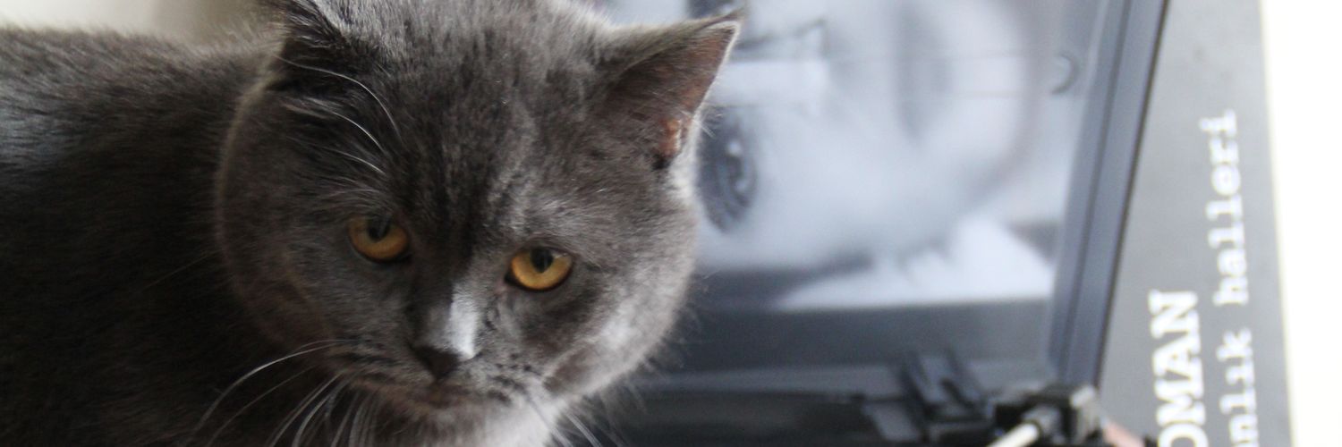 omfasen's profile banner image