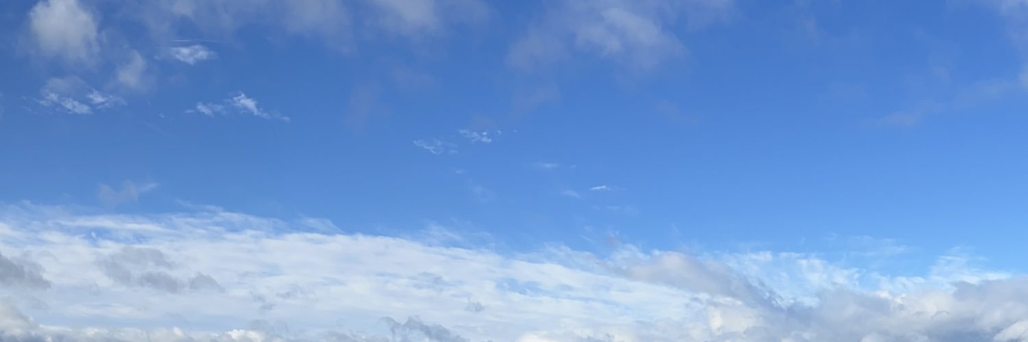Mathildebrd2's profile banner image