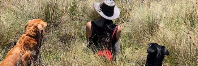lapatomoscoso's profile banner image