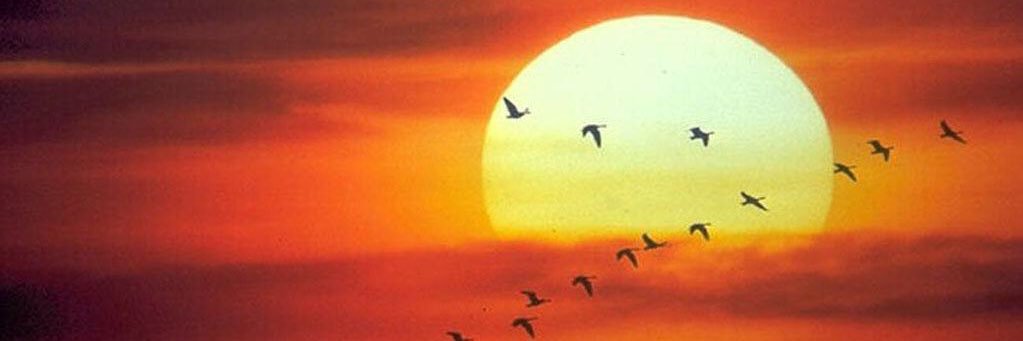 Ester793's profile banner image
