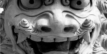DojoPlus's profile banner image