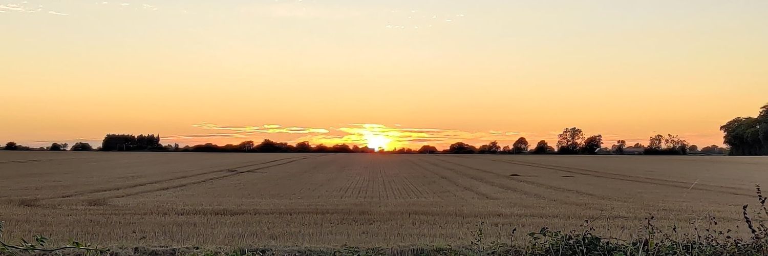 LisaJStringer's profile banner image