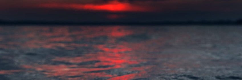 rose 🥀 🔪 banner